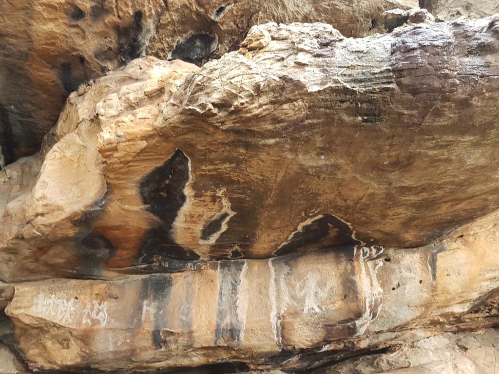 The Wisdom of the&nbsp;Serpent