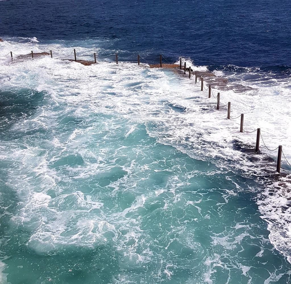 Reclaiming the Reptilian